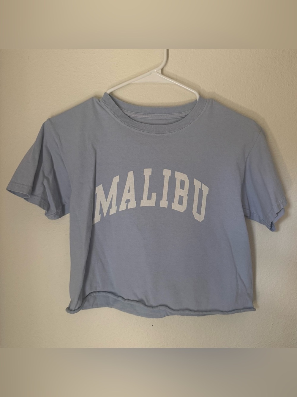 Brandy Melville John Galt Malibu Graphic Crop Tee - Light Blue | One Size